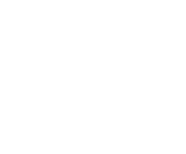 Lisztomania Logo